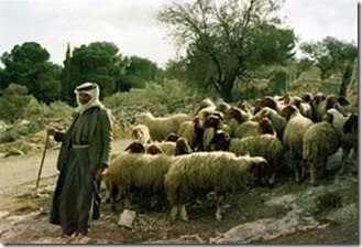 De herders van Bethlehem