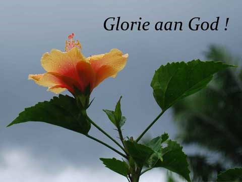 Glorie aan God